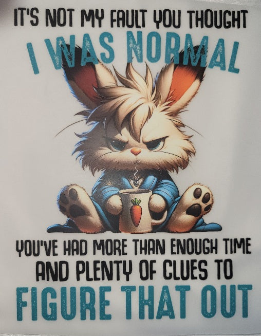 50- IT'S NOT MY FAULT