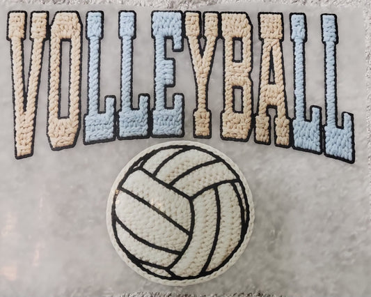 VOLLEYBALL WITH BALL