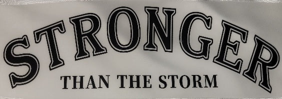 17- Stronger Than the Storm