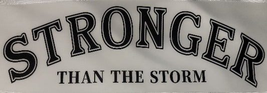 17- Stronger Than the Storm